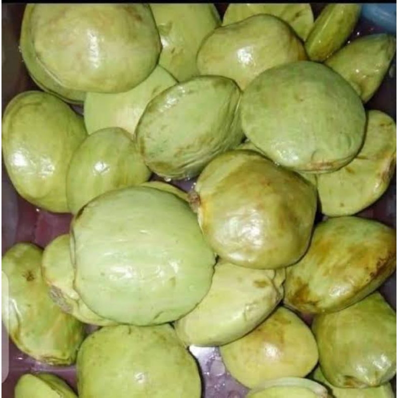 

jengkol jengki , jengkol lokal jawa kupasan dan rebusan 500gr,1kg
