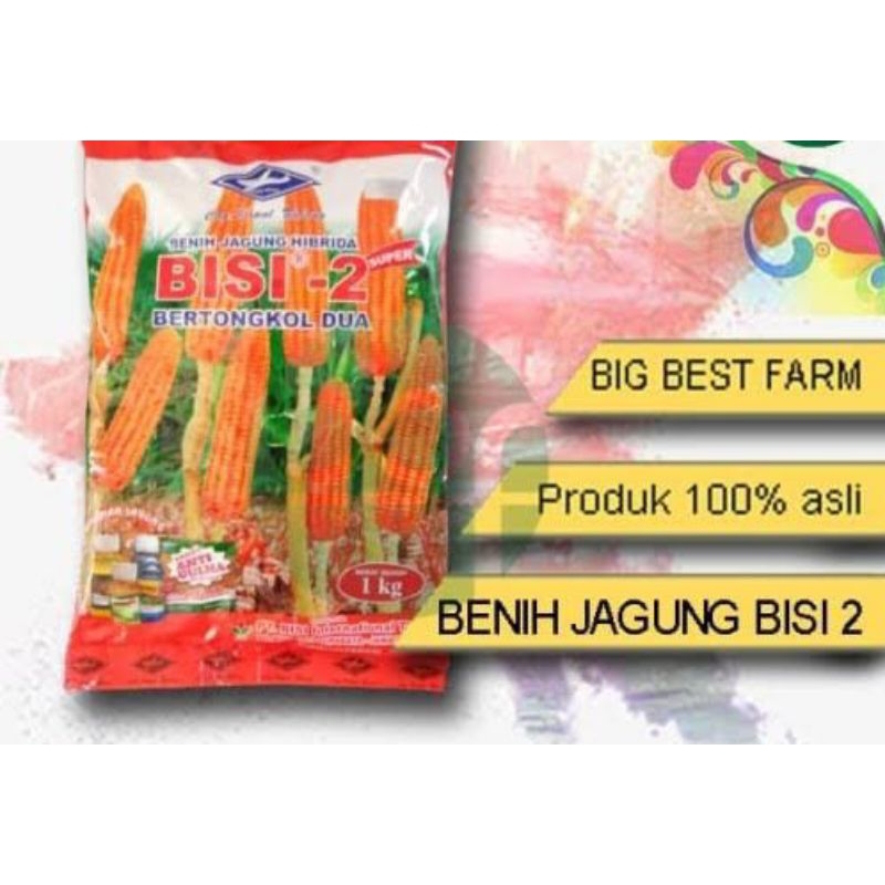 Benih jagung hibrida F1 BISI 2