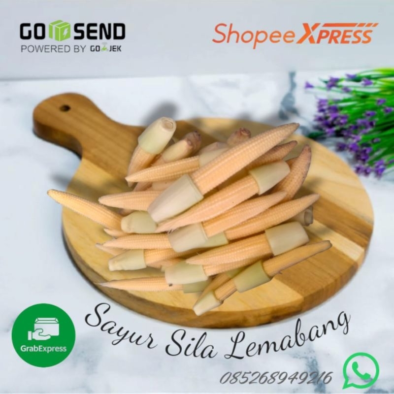 

Jagung Muda Putren / Baby jagung / Jagung kecil