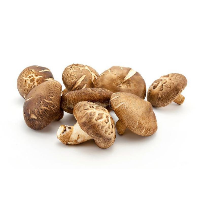 

Jamur Shiitake Mushroom fresh 500 gr