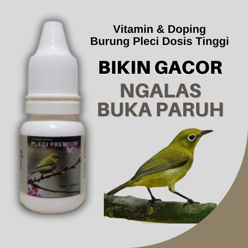Vitamin Dan Doping Burung Pleci Premium Dosis Tinggi Biar Gacor Ngebren Buka Paruh