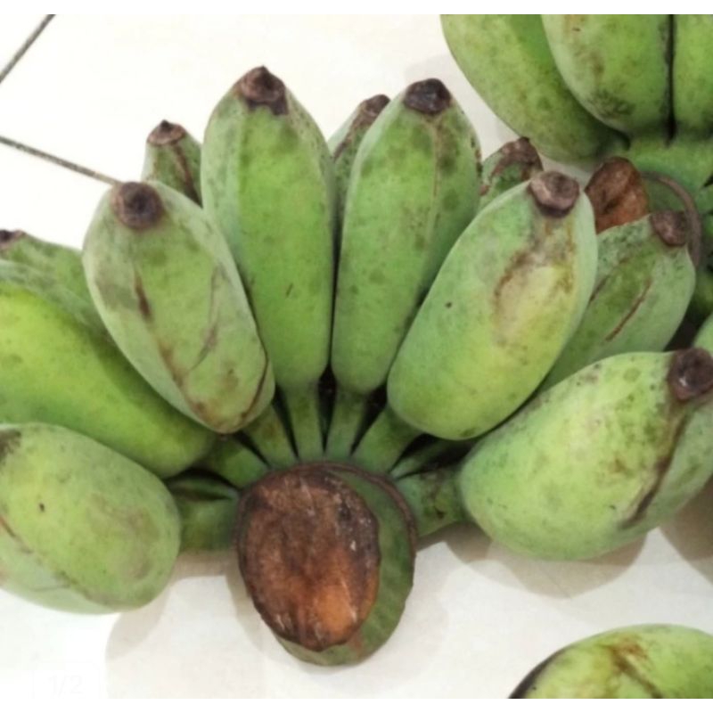 

buah pisang awak 1 sisir