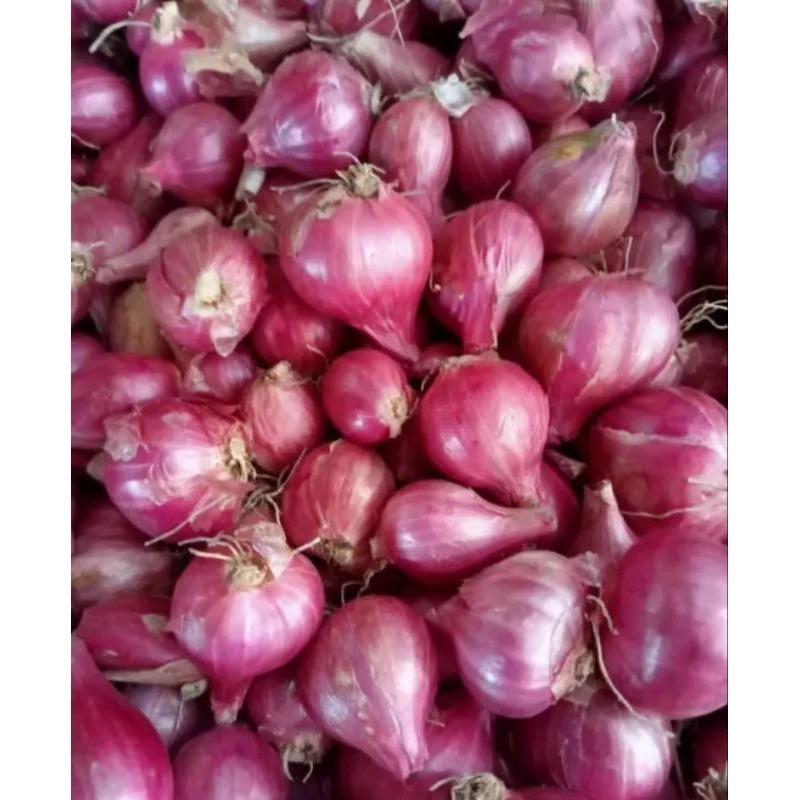 

bawang merah super ukuran sedang asli nganjuk