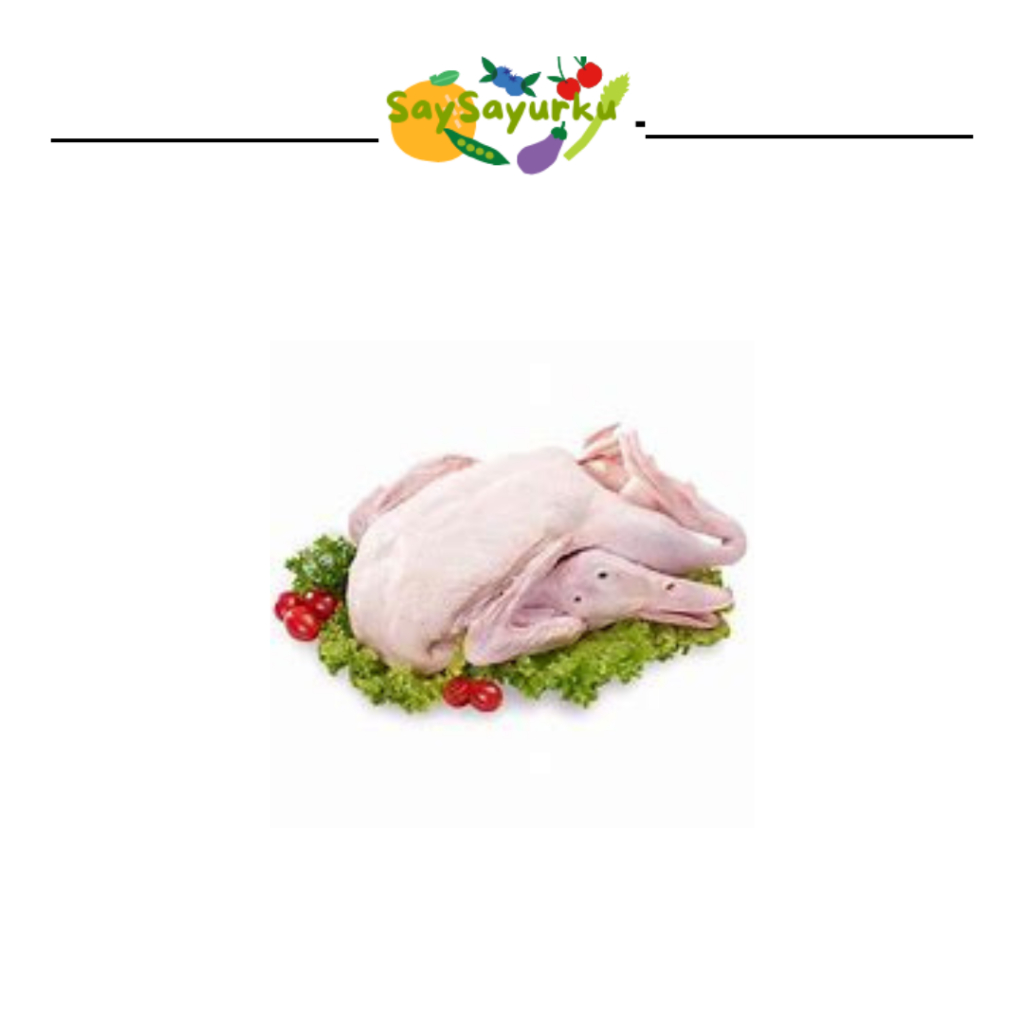 

BEBEK FRESH 1 EKOR