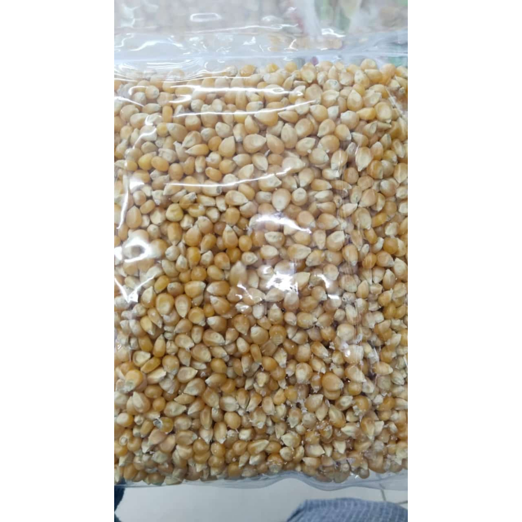Jagung Popcorn Asli Premium / Jagung Kering Popcorn / Biji Jagung Mentah Popcorn 500gr