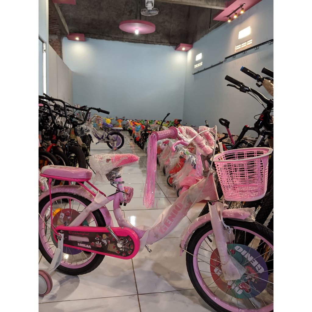 SEPEDA ANAK MINI 18 GENIO