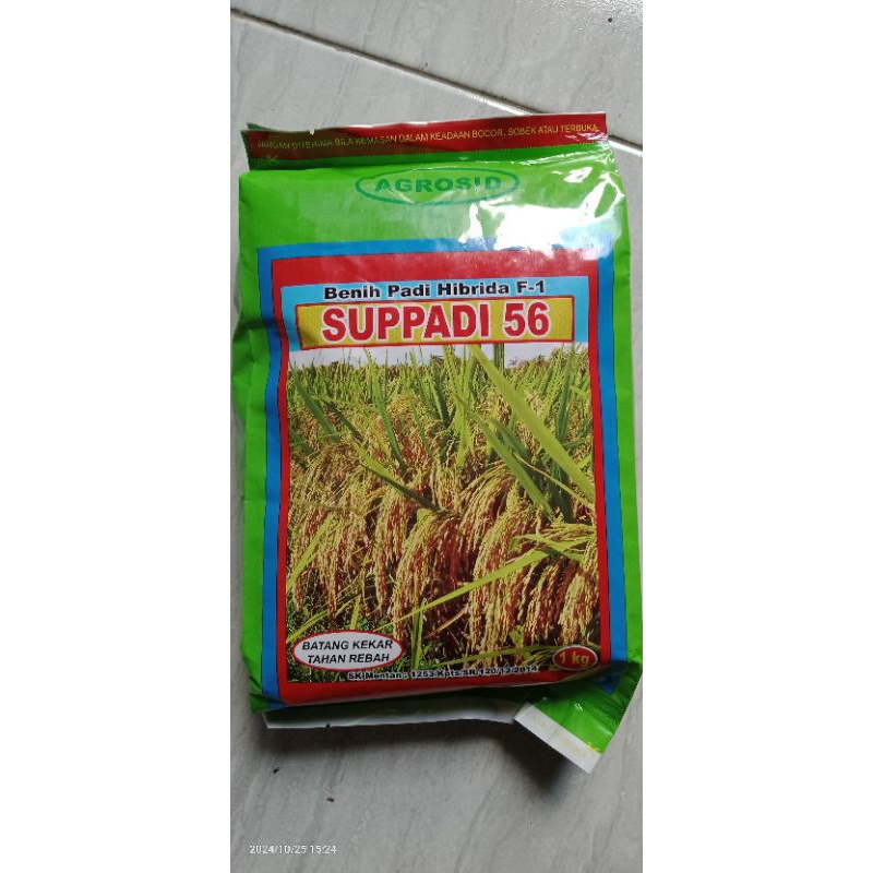 Benih Padi Hibrida Supadi 56 Original Exp 5-2025