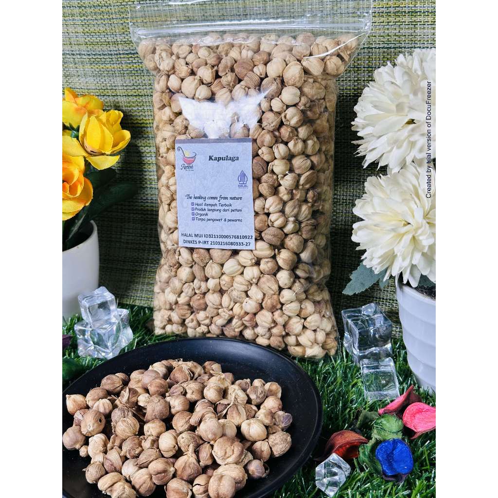 

ADY78 Kapulaga Utuh Kering Super 500 Gram - Rempah Bu Risma
