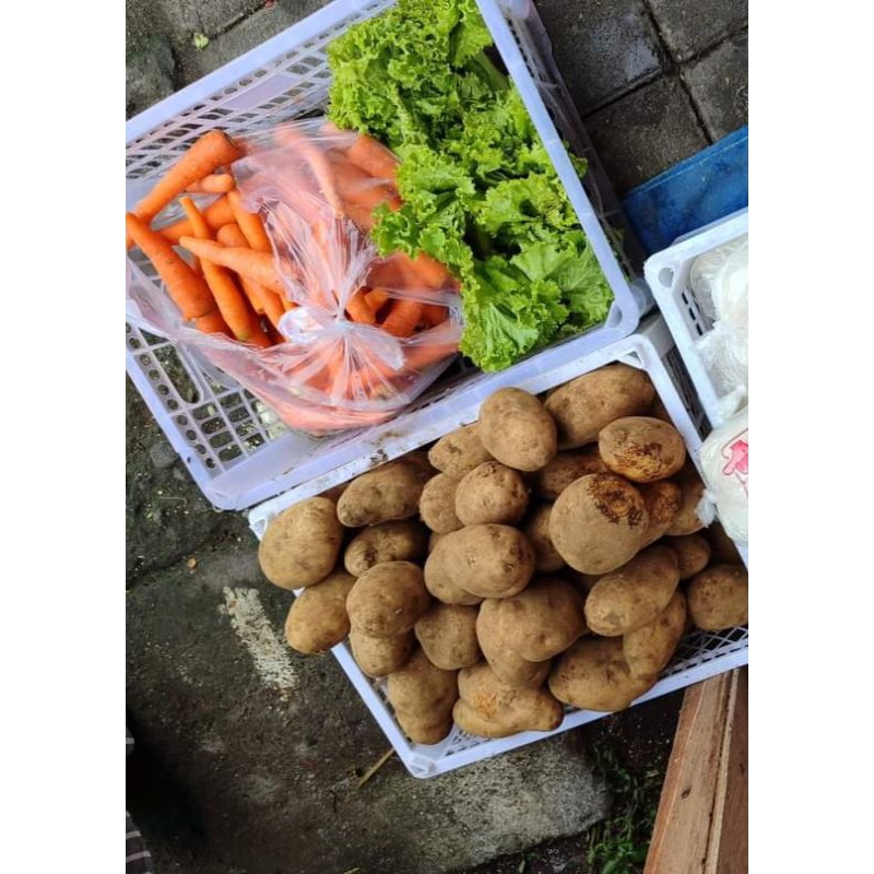 

kentang Fress 1kg