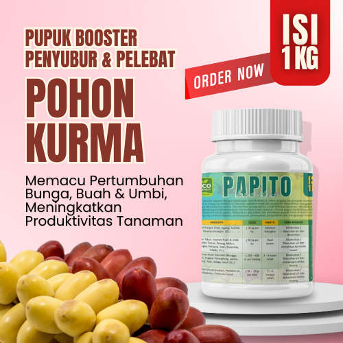 Pupuk Kurma Cepat Berbuah Nutrisi Organik Booster Pelebat Buah Kurma Penyubur Akar Daun Tanaman Poho