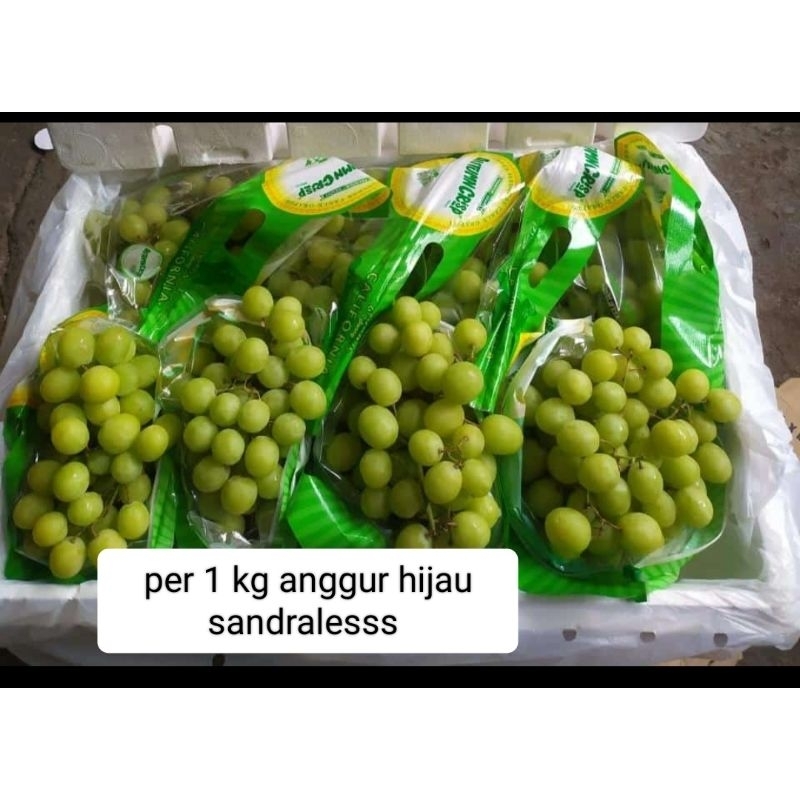 

buah anggur sandralesss hijau per 1 kg buah