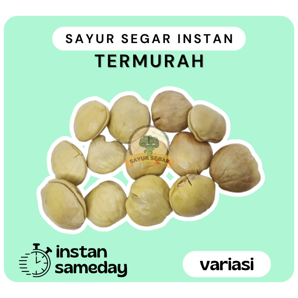 

Jengkol Muda Kupas 500 gram - Sayur Segar Instan