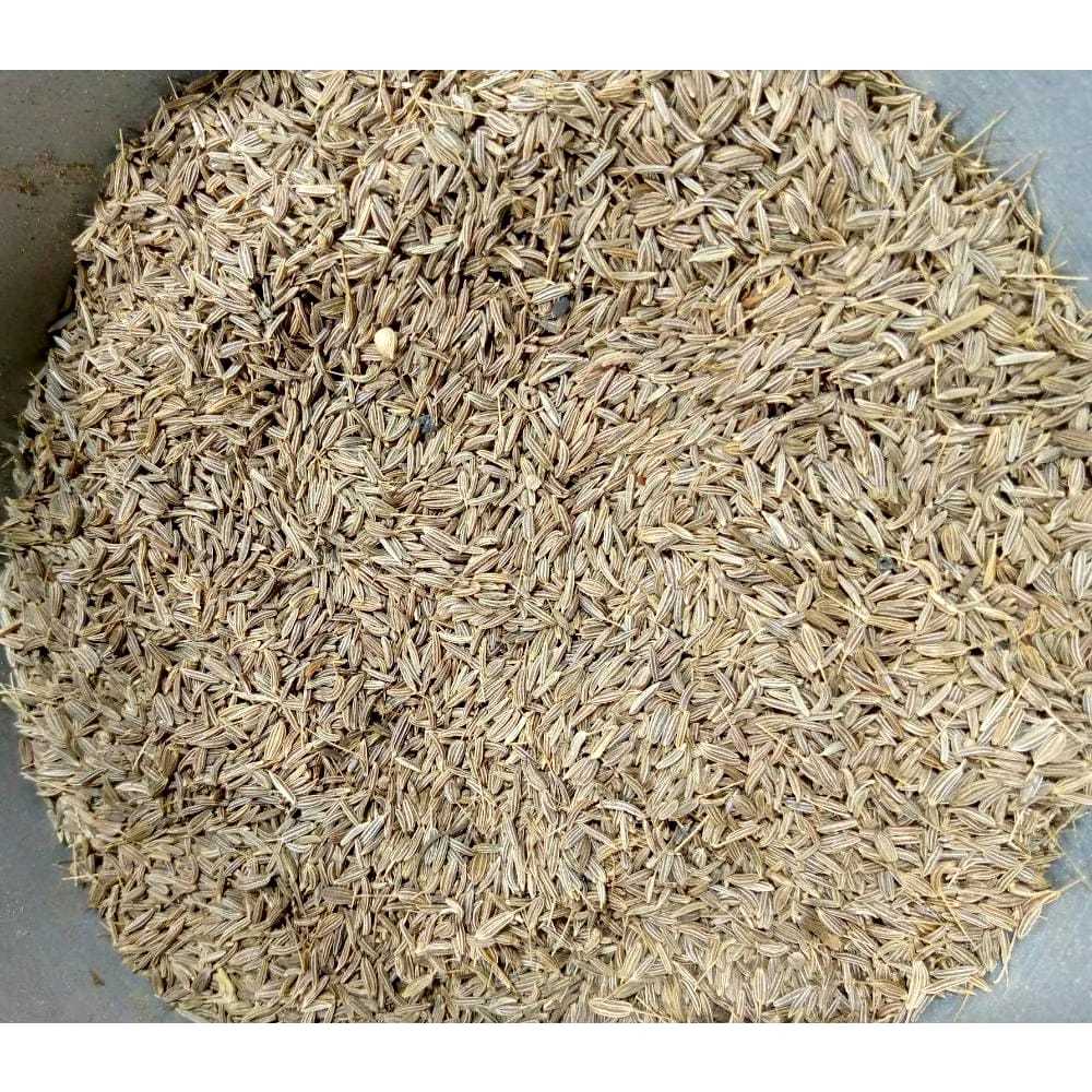 

JINTAN PUTIH 500 GR & 1 KG