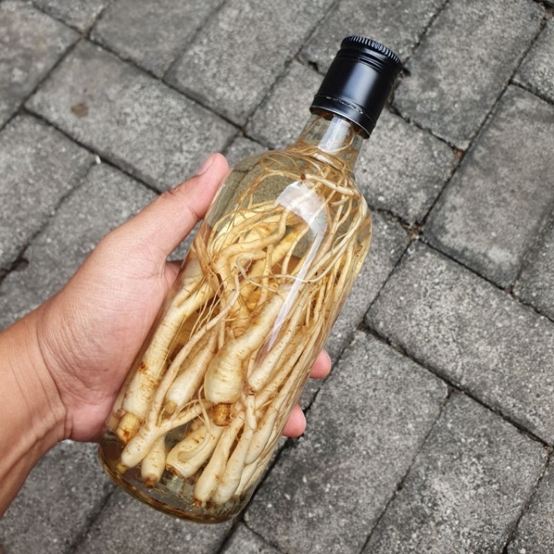 

Ginseng + Botol Kaca + Tanpa Kuda Laut