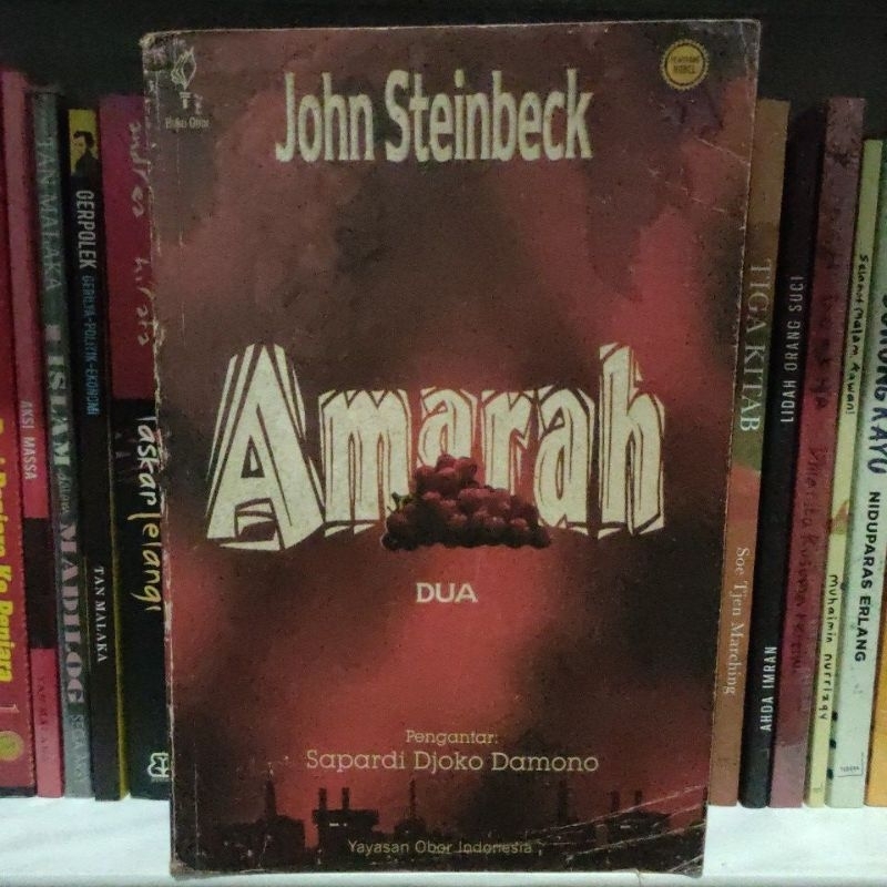 Amarah dua - John Steinbeck