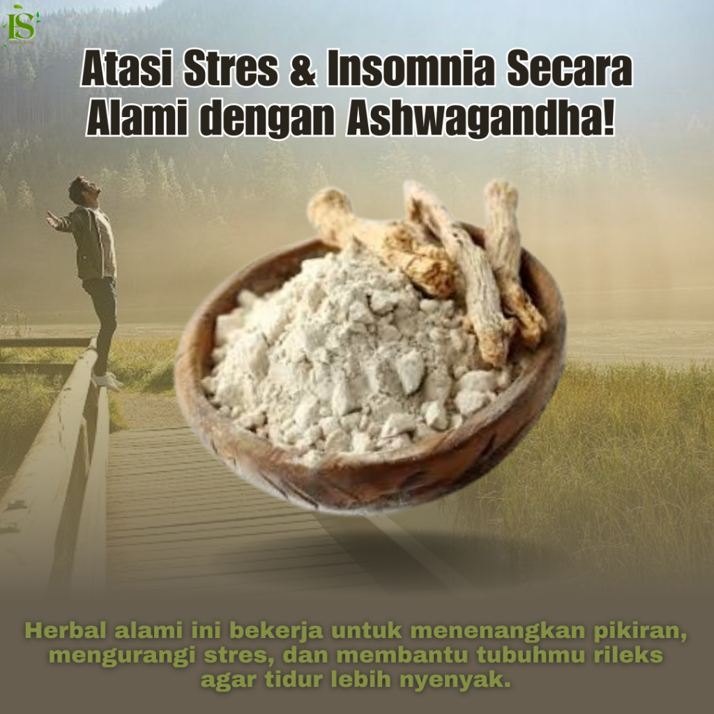 

Aswagandha Bubuk Original Herbal Penghilang Setres Insomnia dan Penambah Stamina