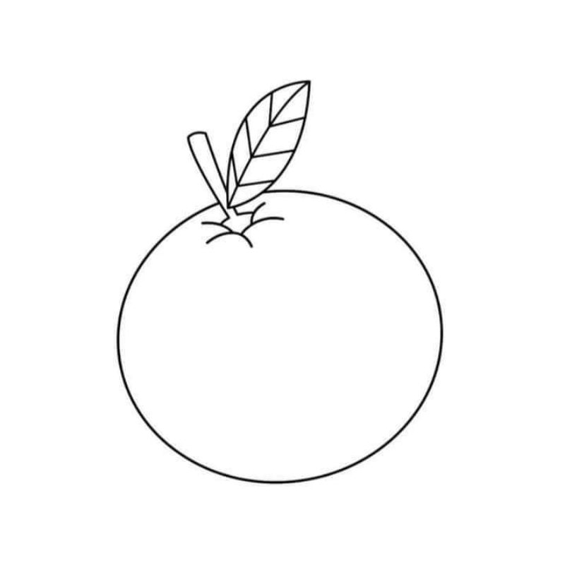 

500 lembar PDF Gambar mewarnai anak Free pensil warna.