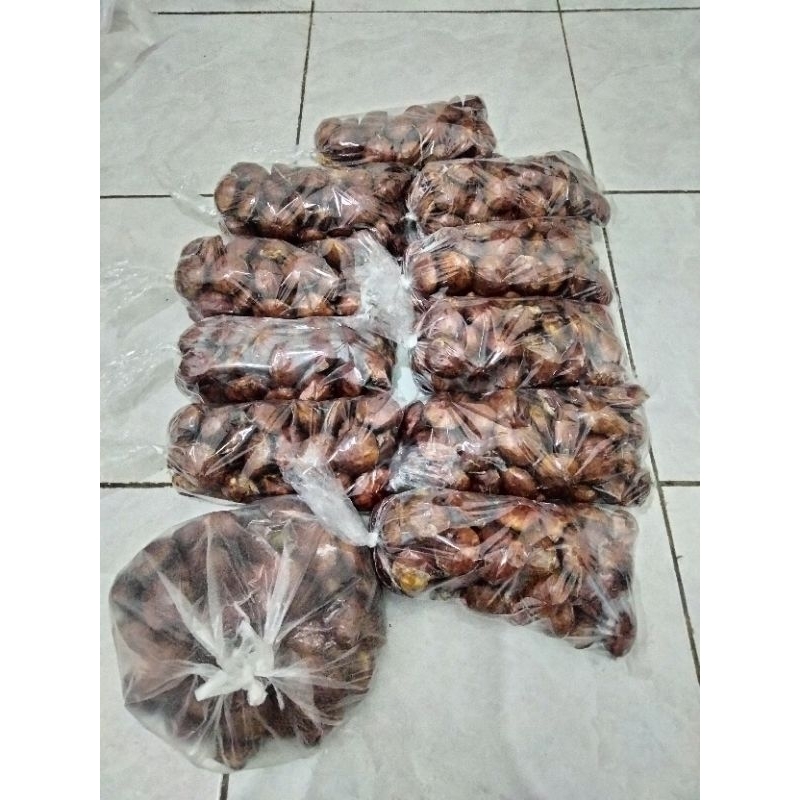 

jengkol tua fresh promo 1kg