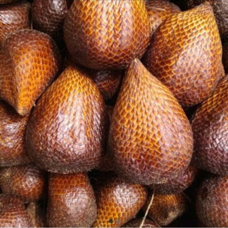 

SALAK PONDOH 1 Kg