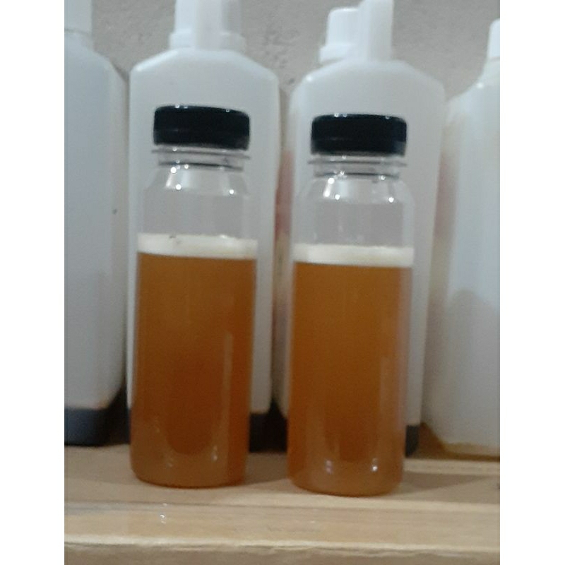 

Madu Lebah Liar Apis Dorsata 250gr