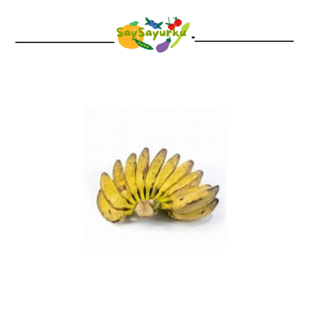 

PISANG KEPOK 1 SISIR