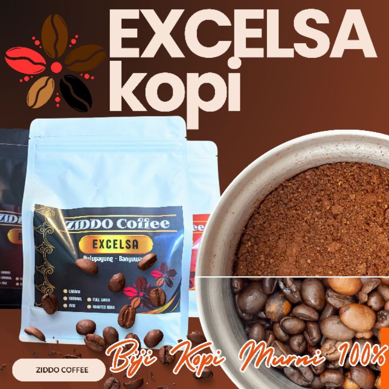 

Kopi Excelsa Grade - Bulupayung Banyuwangi - Ziddo Coffee