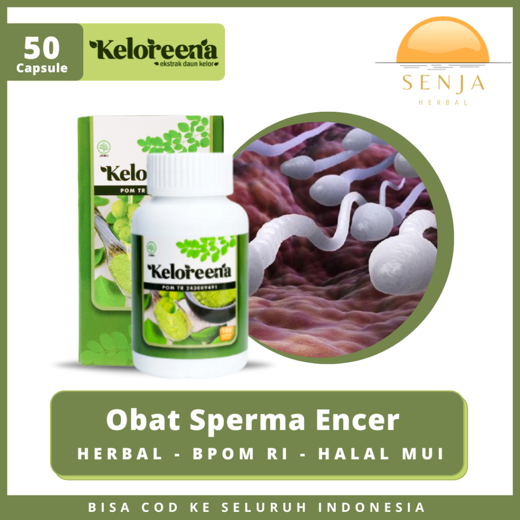 Obat Mani Encer, Sperma Encer, Katup Mani Bocor, Pengental Sperma, KELOREENA 100% Ekstrak Daun Kelor
