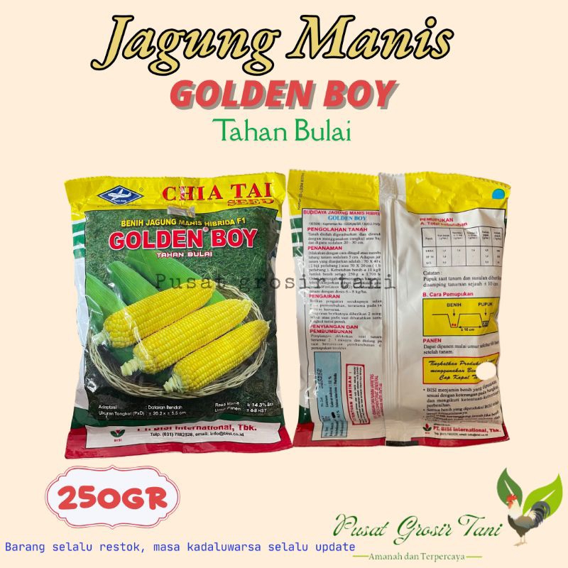 Jagung Manis GOLDEN BOY || net 250gram || Cap Kapal Terbang || Benih Jagung || Jagung Manis || Jagun