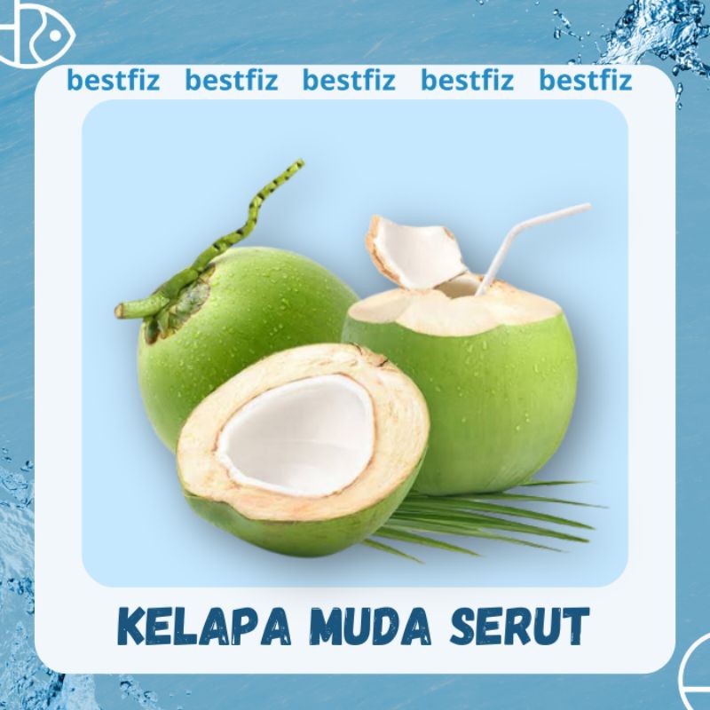 

Kelapa Muda Serut