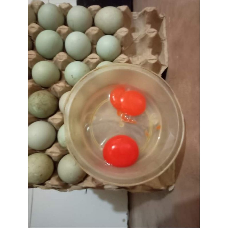 

TELUR BEBEK MENTAH ISI 10 BUTIR