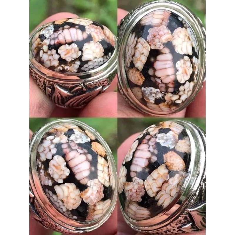 JHIPEN SISIK ULAR PITON ANTIK TOP COLECTOR ITEM