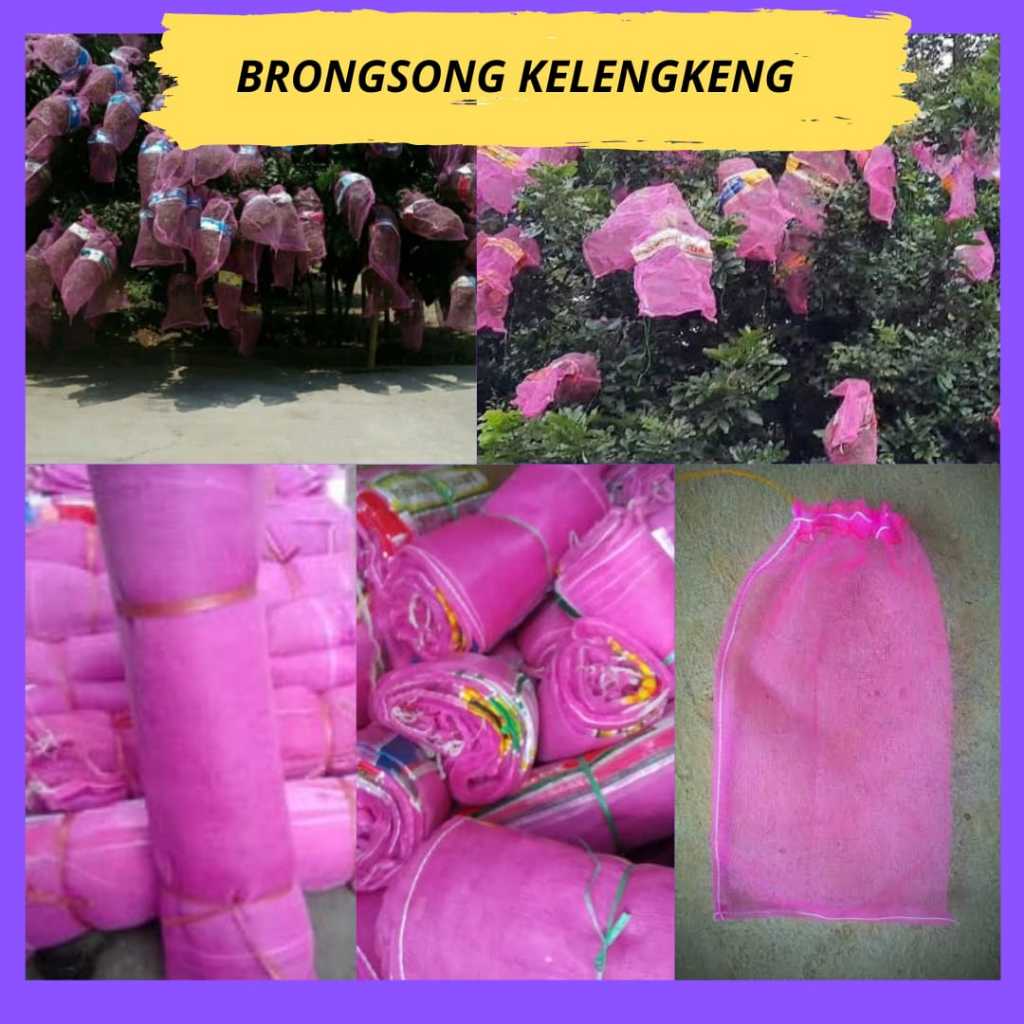 Jaring buah kelengkeng, Jaring buah lengkeng, Jaring pohon kelengkeng 10pcs