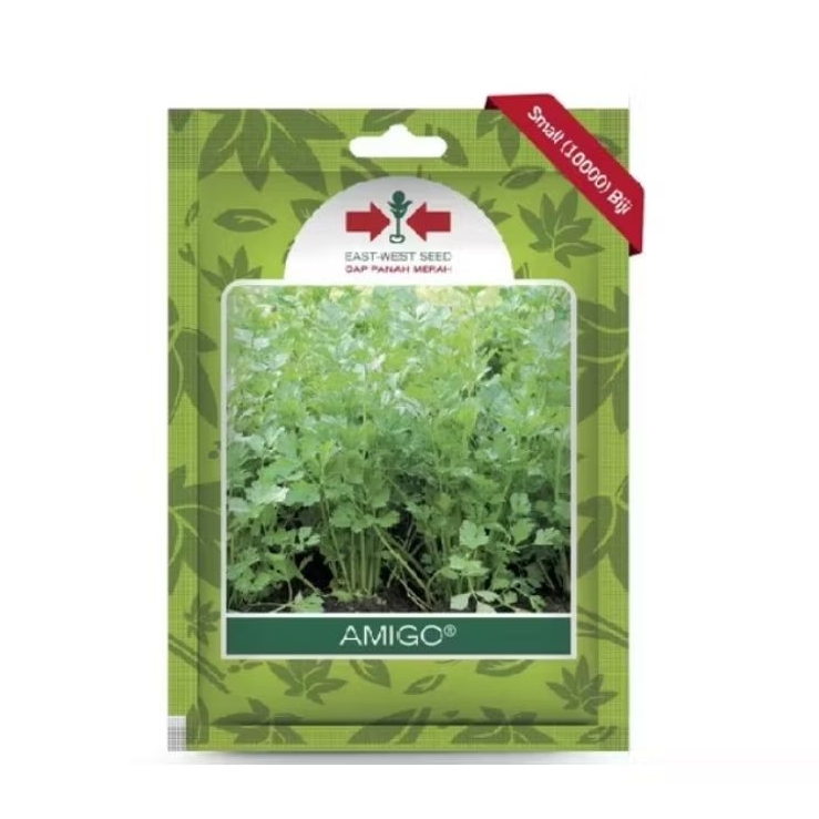 Benih Bibit Sayuran Daun Sop Seledri Amigo 10.000s SP | Cap Panah Merah