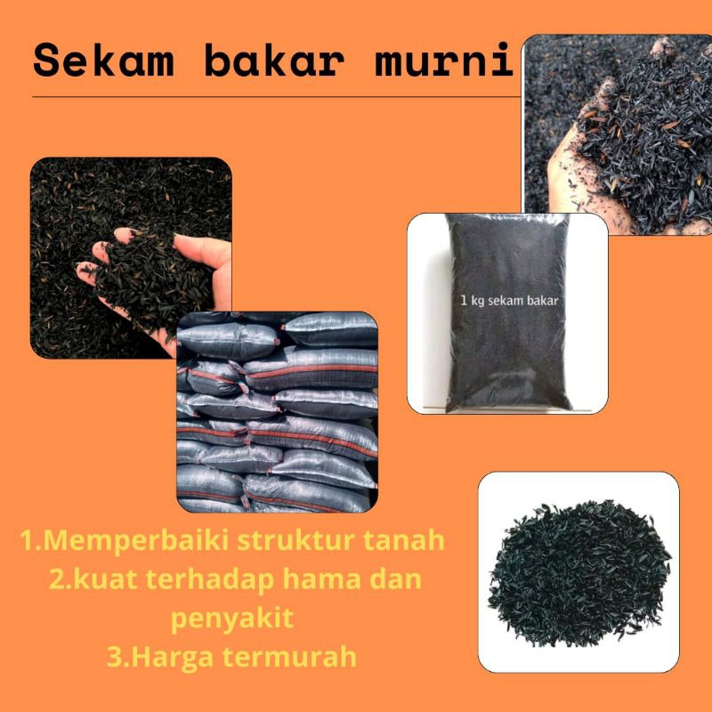 TERLAARIS.. Sekam Bakar Halus 1kg