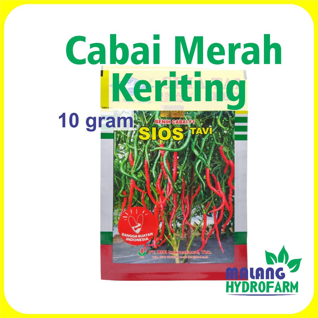 Benih Cabai Merah Keriting Sios Tavi F1 10 gram Cap Kapal Terbang dataran rendah menegah tinggi bibi