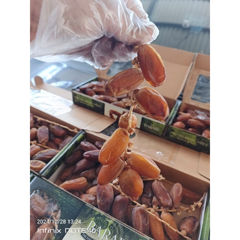

Tunisia Tangkai Barari 500gr