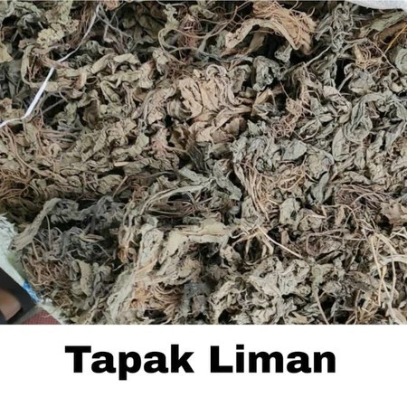 

Daun Tapak Liman Kering 50gr