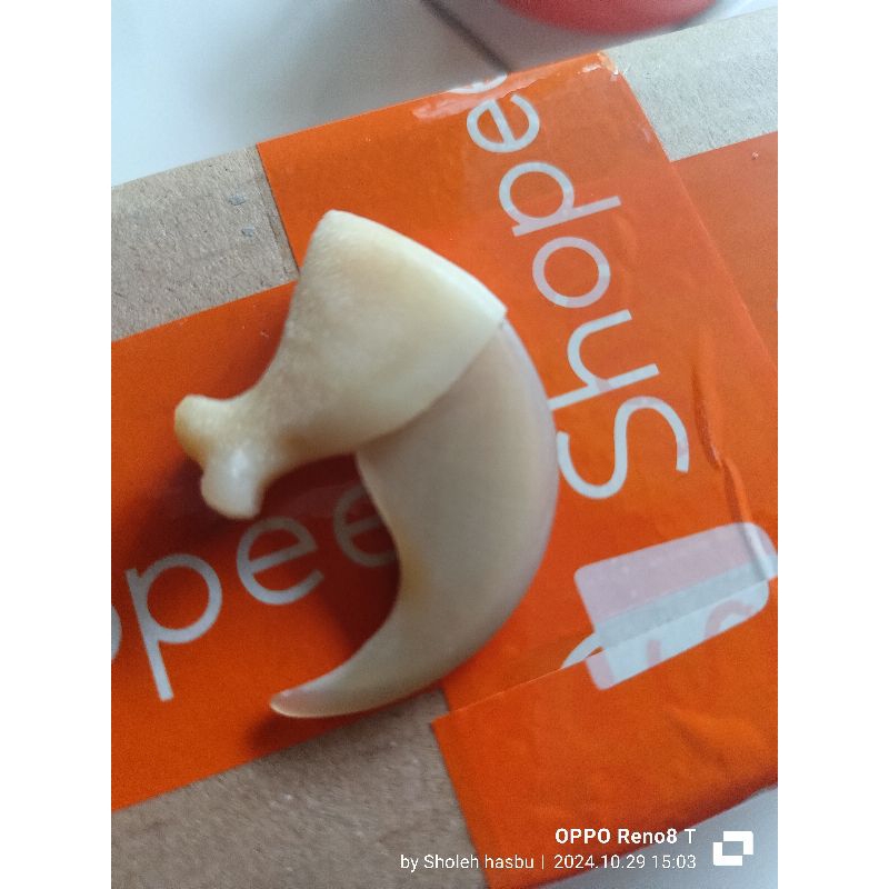 kuku harimau imitasi