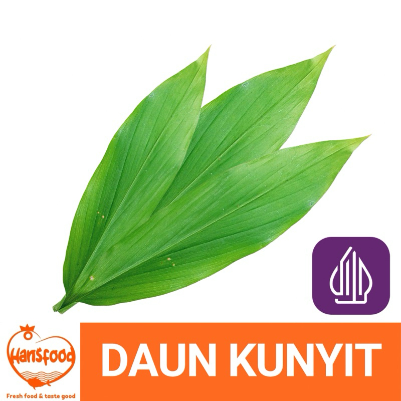 

DAUN KUNYIT