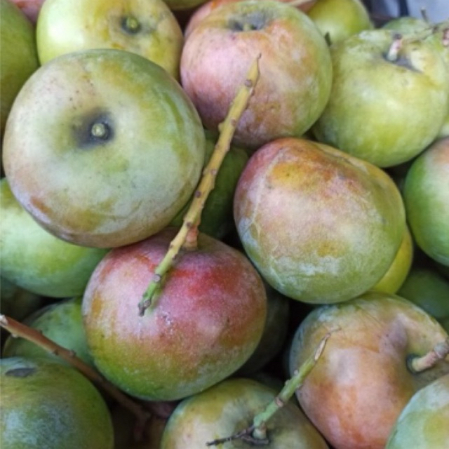 

MANGGA APEL 1KG ASAM MANIS SEGAR/MANGGA APEL FRESH/MANGGA MURAH/MANGGA APEL MURAH/MANGGA RUJAK