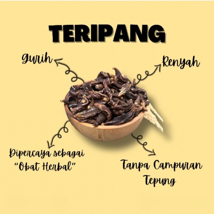 

Kerupuk Teripang Laut Gurih Renyah Kemasan 10gram