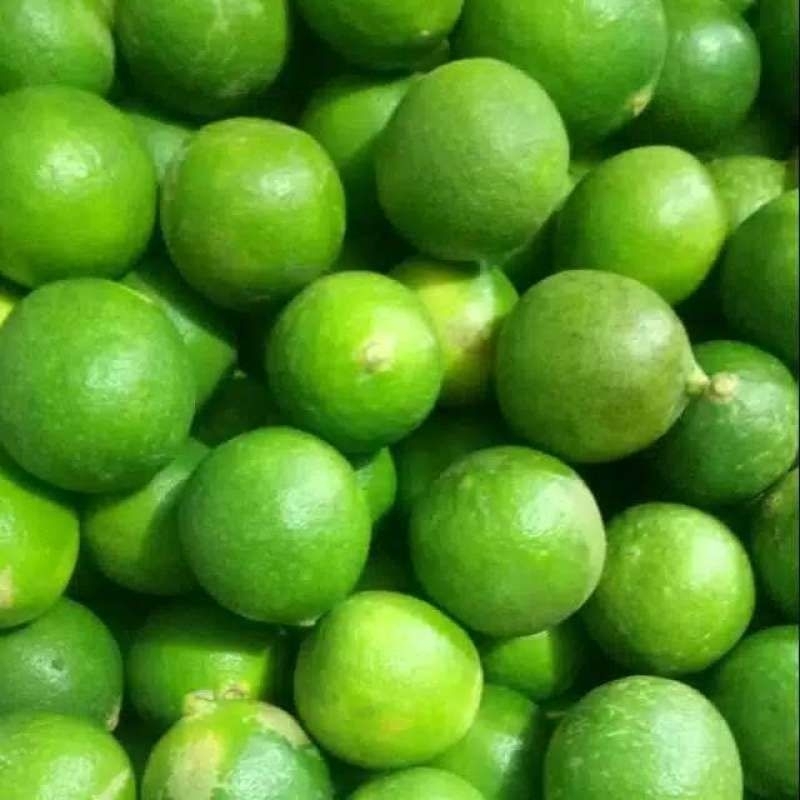 

jeruk nipis