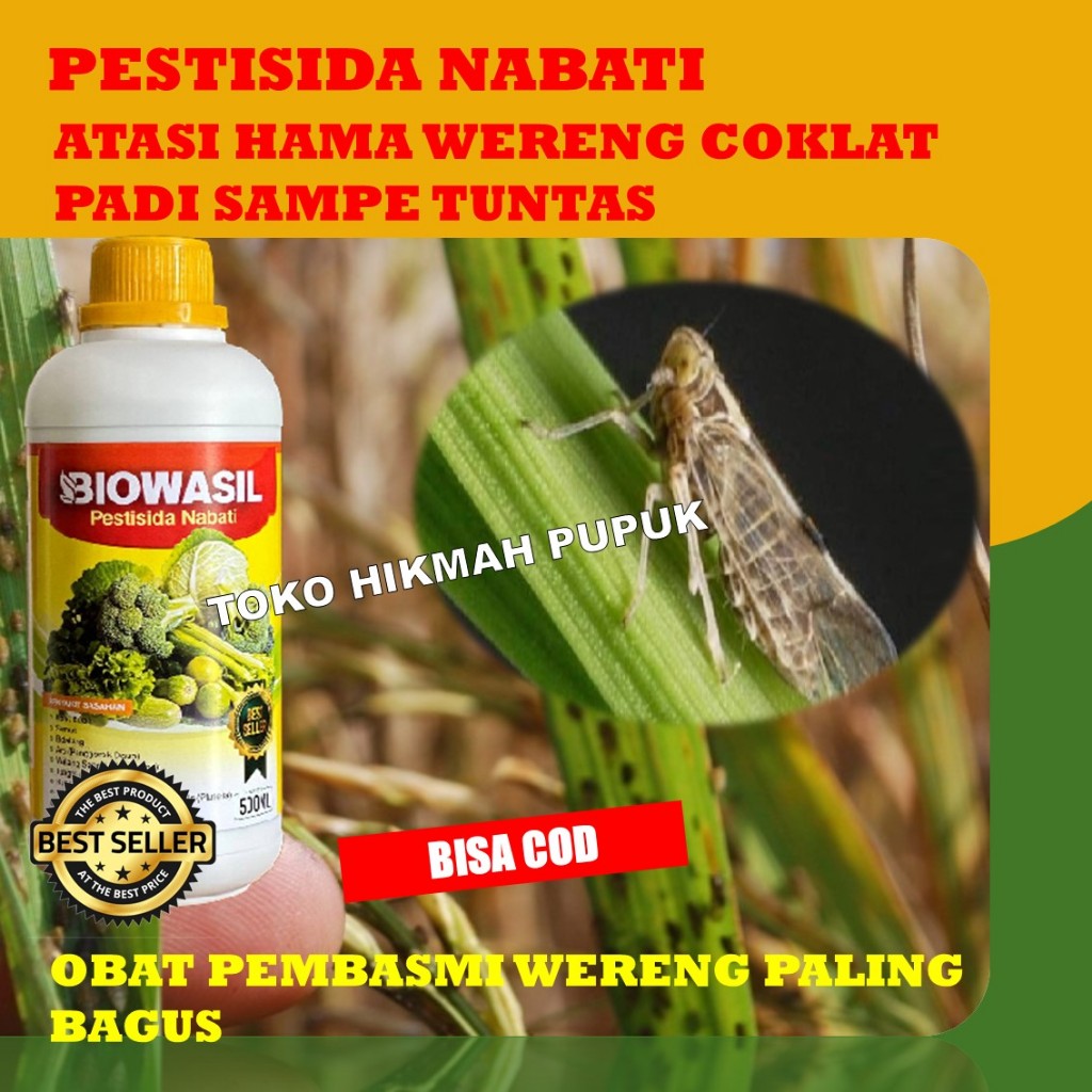 Obat Pengusir Wereng Padi Terbaik BIOWASIL PESTISIDA NABATI - Obat Pembasmi Wereng Paling Ampuh - Ob