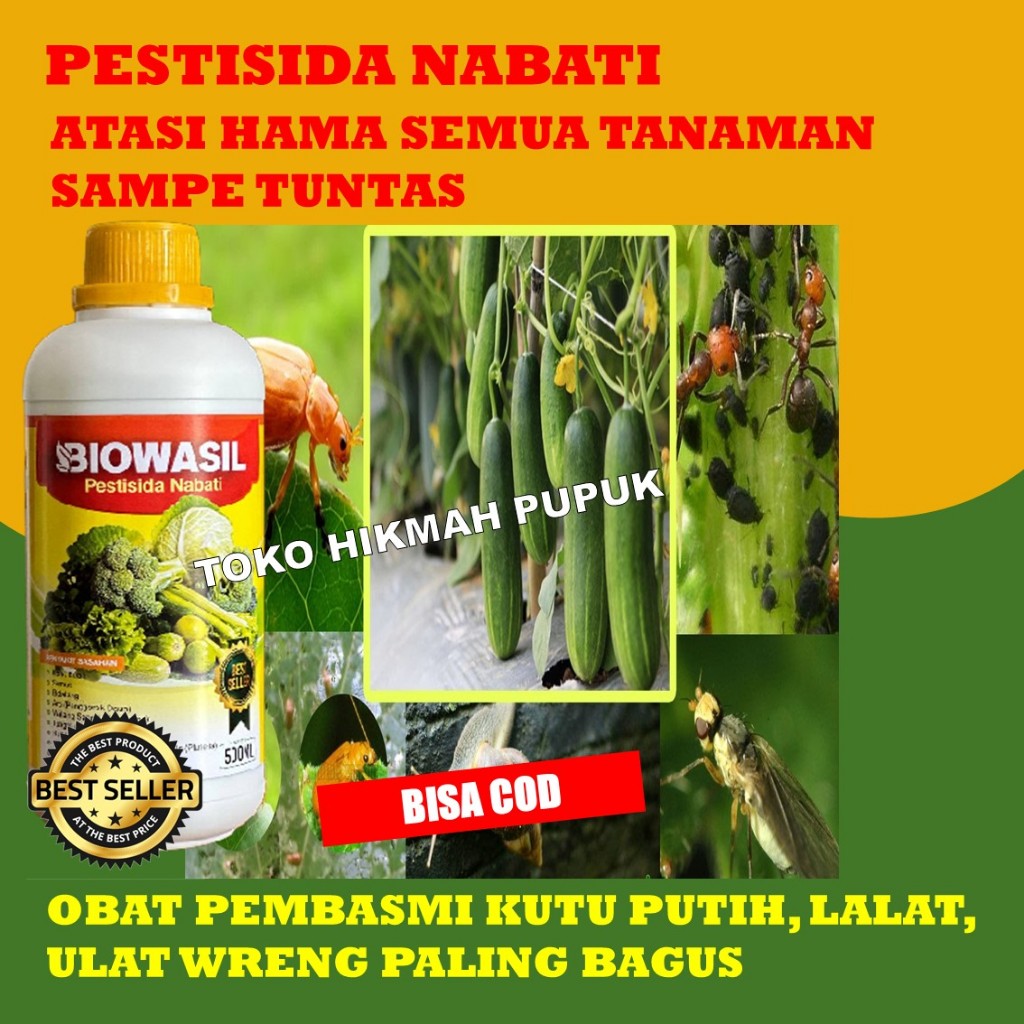 PESTISIDA NABATI BIOWASIL Obat Hama Untuk Timun Paling Bagus - Pestisida Nabati Untuk Sayuran Timun 