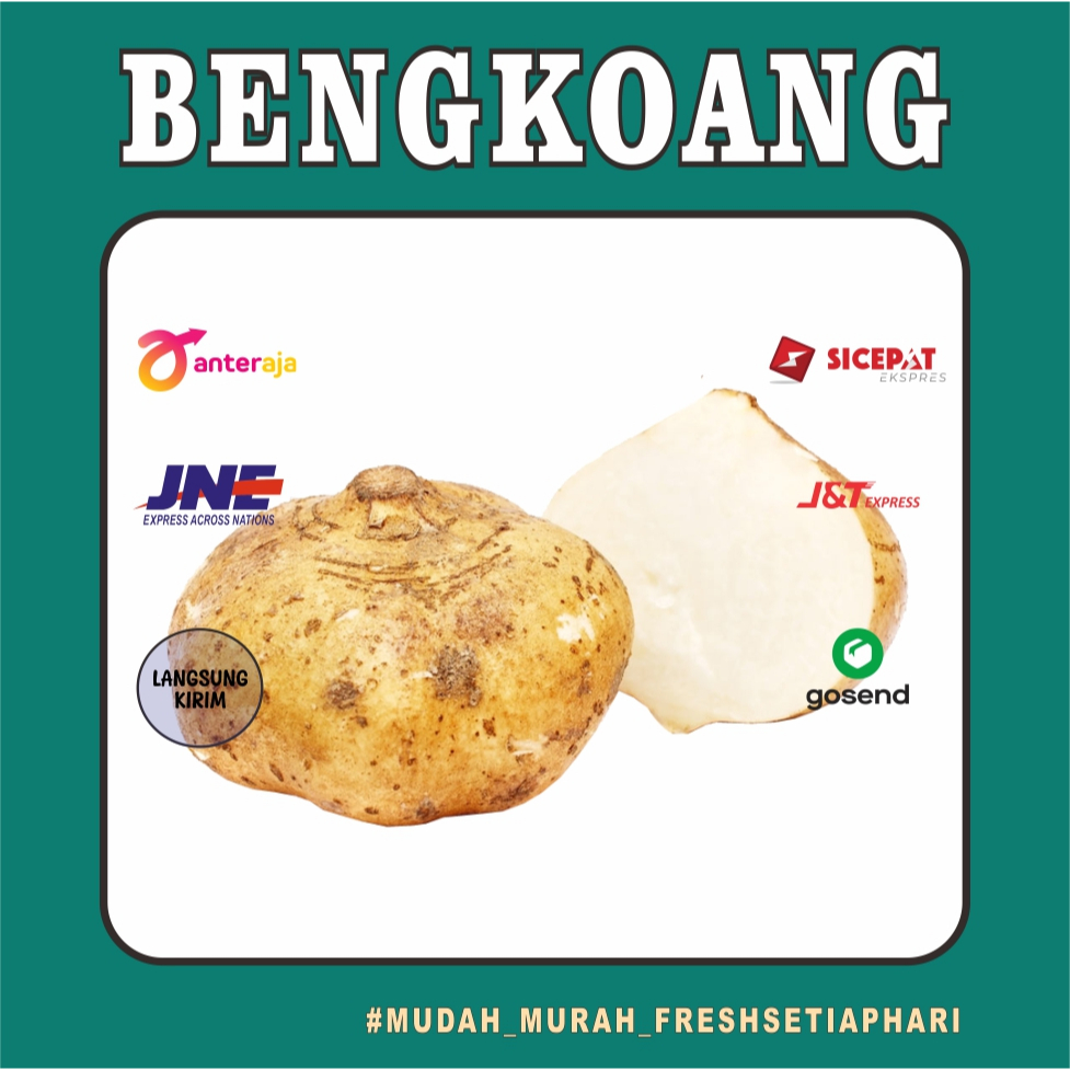 

BENGKOANG FRESH MURAH BANDUNG 505g