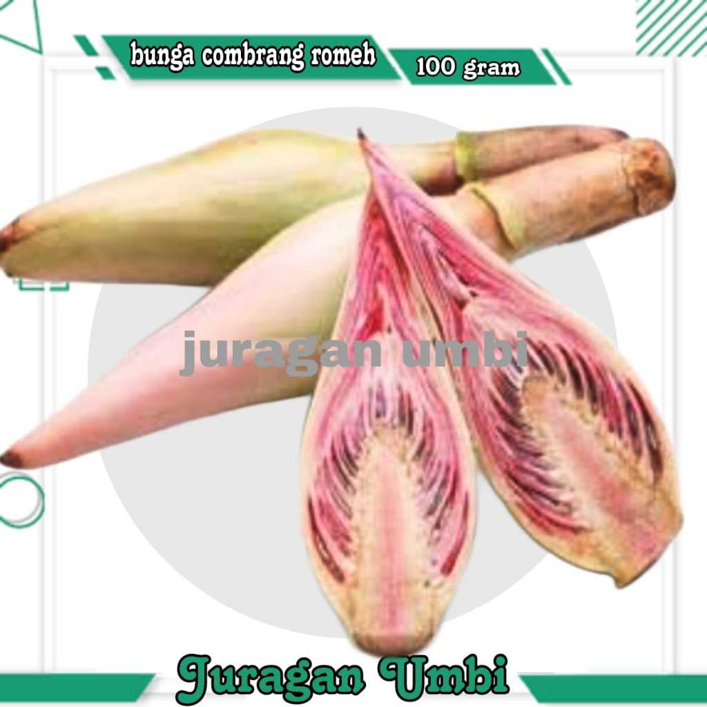 

( juragan umbi ) Bunga Combrang Romeh 250 Gram