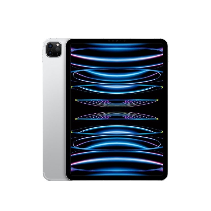 Ipad Pro 12,9 inch (6th gen) 128gb
