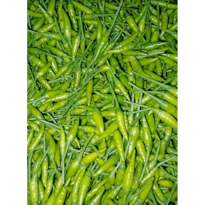 

CabaiRawitHijauCaplak_500g-2kg