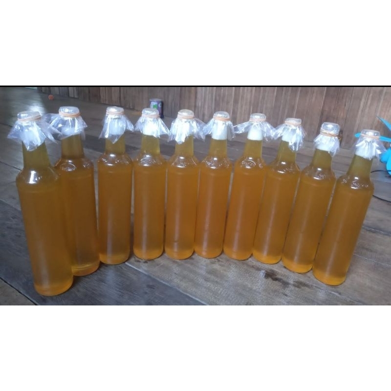 

MADU LEBAH ASLI TANPA CAMPURAN MADU WANYI HUTAN 100% ASLI