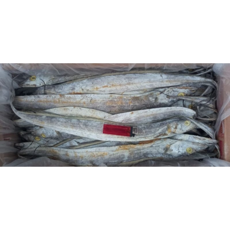 

ikan asin Layur super 250gr